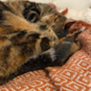 Meet your Posher, Kate